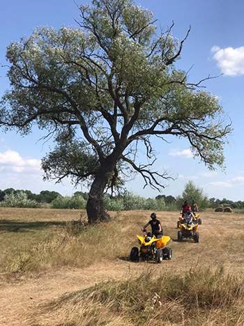Прокат квадроциклов Vezdexod - Обзор квадроциклов Прокат квадроциклов Vezdexod - Обзор квадроциклов